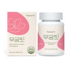 [본사출고] 무궁핏, 45정, 1개