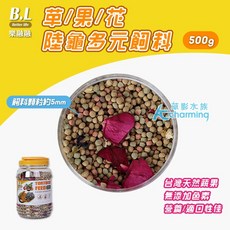 【AC草影】B.L 爬蟲 巴西龜 屋龜飼料, 1個, 樂融融 草/果/花 陸龜多元飼料500G