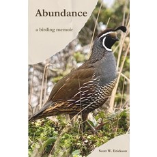 (영문도서)Abundance: A Birding Memoir Paperback, Independently Published, English, 9798341366213
