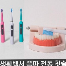 음파 전동 칫솔 스마트 충전식 구강 음파 칫솔 어른 이지클린 데일리 여행용 휴대용 가정용 무선 관리 욕실, 화이트