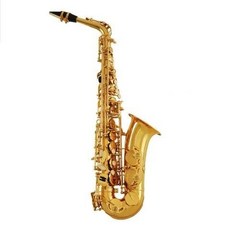 CannSelmer/塞爾瑪 火鳥降E調中音薩克斯 專業演奏成人正品 原裝, 1個, 初學款 金色 店主推薦