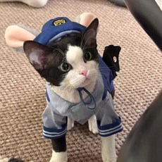 臺灣出貨-臺灣出貨-瘋狂動物城兔子警官cos卡通長耳朵兔子帽子尼克硃迪狗狗衣服, 玩具熊一隻,XL背長39建議11-14斤, 1個