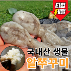 [당일조업배송] 국내산 서해안 생물 알쭈꾸미, 1개, 1kg