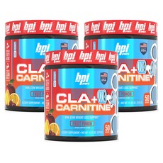 Bpi Sports CLA + 카르니틴 프루트 펀치, 3개, 350g