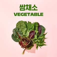 당일수확 싱싱하고 푸짐한 유러피안 샐러드 친환경 무농약 모듬 쌈채소, 1박스, 600g