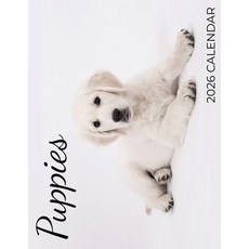 (영문도서)Puppies 2026 Calendar Paperback, Baldega Books, English, 9798869184733