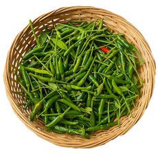 국내산 베트남고추 태국고추 파란고추 쥐똥고추 프릭키누 동남아 식재료, 100g, 1개