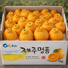 [단독초특가] 제주 특상품 초고당도 한라봉, 1박스, 특상품 중과 5kg