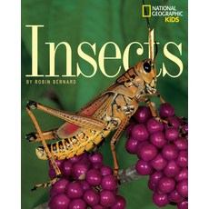 Insects Paperback, National Geographic Kids
