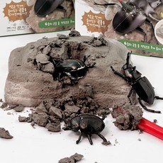 랜덤 곤충 발굴 키트, 단품