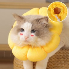 강아지 고양이 해바라기 넥카라 목쿠션 깔때기 중성화 긁음방지 목보호대, 상세페이지 참조, 1개