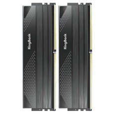 킹뱅크 스타 블레이드 DDR5 하이닉스 A다이 6000MHZ CL30 데스크톱용 램 16GB 블랙 2개입, 1개, KP46003016G