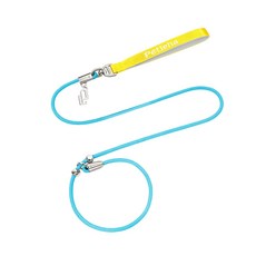 狗繩寵物項圈一體式遛狗繩大小型犬不勒手P繩狗狗牽引繩p繩, 1個, 黃陽藍溪