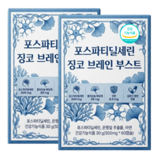 포스파티딜세린 ps 징코 식약청인증, 2개, 60정