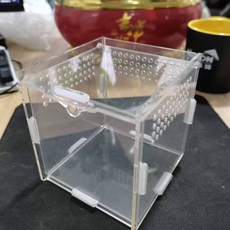蜥蜴爬蟲蜘蛛寵物螳螂角蛙樹蛙睫角守宮飼養箱 亞克力透明觀賞盒, 1個, 10*10*10  磁吸頂開門