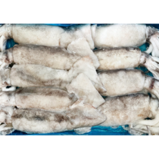 냉동 오징어 3kg 1박스 10미 통오징어 육동오징어 베이트 업소용 식당용, 1개