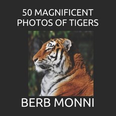 (영문도서) 50 Magnificent Photos of Tigers Paperback, Independently Published, English, 9798714200847