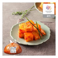 종가 우리땅 깍두기 5kg 외식용 783749