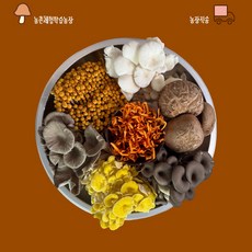 당일수확 강화도 버섯아일랜드 농장 직배송 생버섯, 1박스