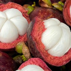 [한정특가] 고당도 태국직송 생 망고스틴, 1박스, 망고스틴 500g