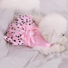 공주 드레스 여름 옷 얇은 테디 탱크 스커트 중소형 비비 곰 고양이 애완 동물 봄과