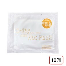 1-day 프리미엄 핫팩 붙이는 파스형(국산/50g/J95679), 10개