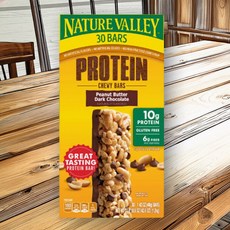 네이쳐밸리 프로틴 츄이 바 피넛버터 다크 초콜릿 40g x 30개입, 1.2kg, 1개