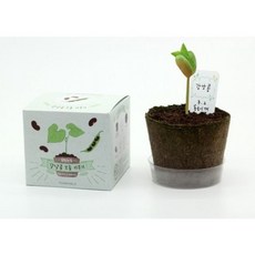 팜팜농장 강낭콩 omn*9267oI, 없음, 단품, 단품