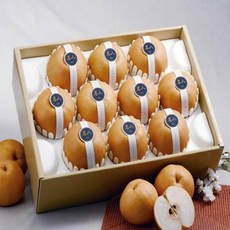 달달과수원 배 선물세트 7.5kg 9~11과 특품, 2박스