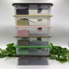 크레스티드게코 사육장 소 세트 락사 렙타일하우스 색상 패키지 적재형케이지, 올리브, 1개