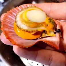 통영 제철 세척 비단가리비 홍가리비 홍가리비 속살 냉장 산지직송, 1개, 홍가리비 속살 1kg