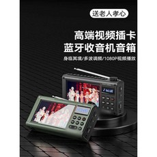 大通 藍牙收音機 影片播放器