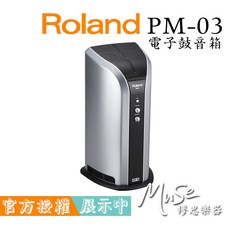 Roland PM-03 電子鼓音箱, 1個, 不需加購導線