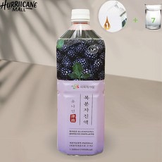 (+펌프 포함) 간편하게 마시는 복분자 진액, 1개, 1.5L