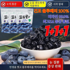 [BEST 상품]1+1+1특급 무설탕 블루베리 건조과일/100% 천연 항산화/저칼로리/영양 보충, 6세트, 100g