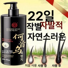 든든커머스 새치염색샴푸 염색샴푸 물염색 새치커버, 5병, 500ml, 1개