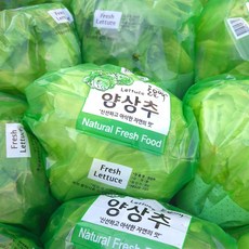 클릭마켓 국내산 포장 양상추 샐러드용, 3개, 350g