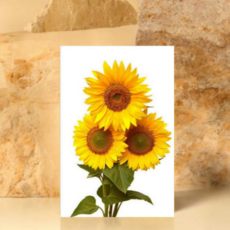 피제이와이 그림 현관 골드 거실 풍수 그림액자 인테리어 금전운 해바라기그림