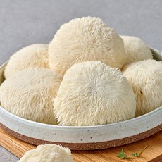 1차 수확 노루궁뎅이버섯 6송이 12송이, 500g(6송이)