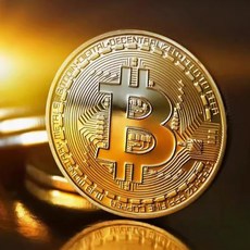 3mm 전용케이스포함 비트코인 가상화폐 기념주화, 비트코인기념주화