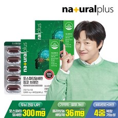 내츄럴플러스 포스파티딜세린 징코 브레인 두뇌건강개선 1200mg x 60캡슐, 60정, 2세트