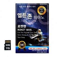 APSD칩 엘튼존 피아노 로켓맨 (Araium)