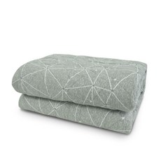 [ 국내생산 / EMF 인증 ] 전자파 안심 면혼방 전기요(105x180) 캠핑 자취 관리사무소 관리실 경비실 기숙사 식당 고시원 호텔 병원 차박 전기장판 EK-B1873