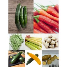 【安全友善蔬菜箱】吉屋商行, 安全友善蔬菜箱