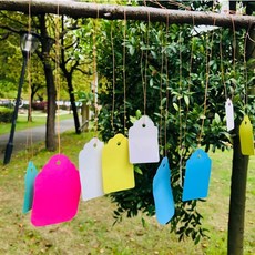 나무 방수 메시지 카드 100P 트리 행사 소원 감사 태그 라벨 네임택 이름표 걸이, C 핑크