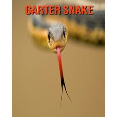 Garter Snake: Fun Facts & Cool Pictures Paperback, Independently Published, English, 9798564336659