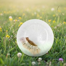 햄스터 헬스볼 쳇바퀴 놀이터 운동용 장난감 방 집꾸미기 기니피그 마우스, 1개, 상세페이지 참조