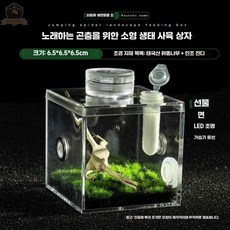 곤충 사육장 아크릴 거미집 파충류 사마귀집, 1개, 4. 소형 근절 사육상자
