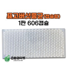 [느타리/표고 성형버섯 종균] 접종형 성형 버섯 종균 참나무 미루나무 버섯종균 캡슐형 성형, 1개, 표고캡슙