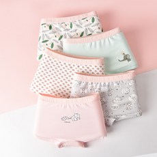 【】女童初中學生內衣平角抽繩內褲5件套DW03